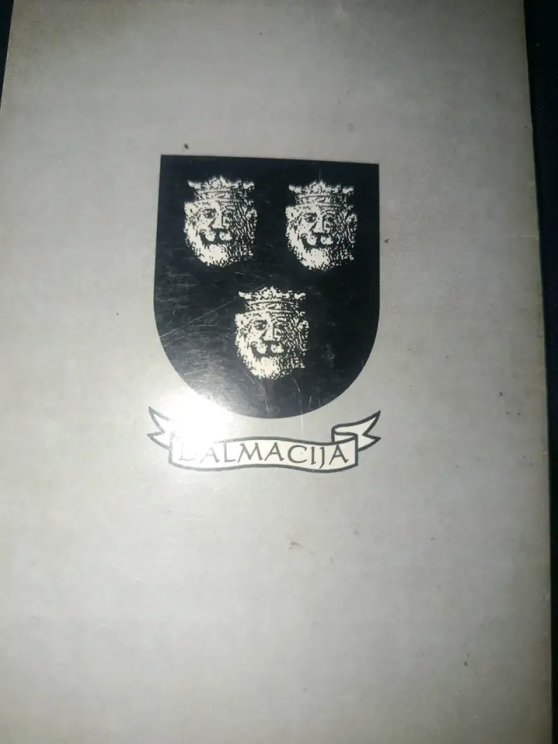 Libro 'Desde Lejos Para Siempre' de Nicolás Mihovilovic - 4