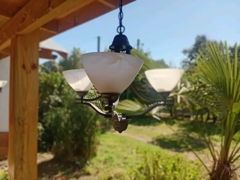 Lámpara de Techo Estilo Clásico con Tulipas - 1