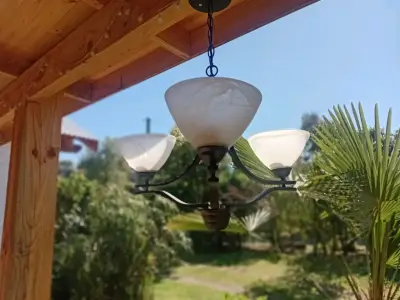 Lámpara de Techo Estilo Clásico con Tulipas - miniatura 2
