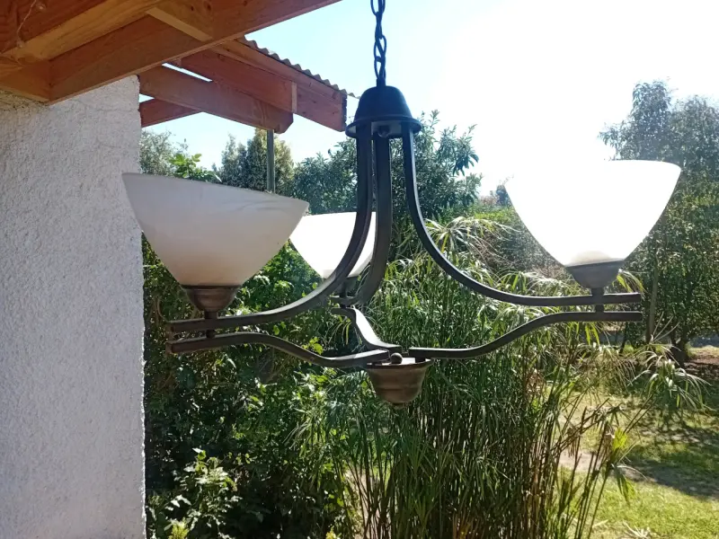 Lámpara de Techo Estilo Clásico con Tulipas - 4