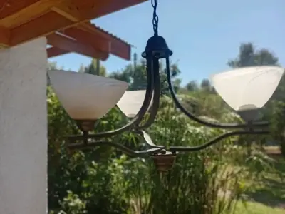 Lámpara de Techo Estilo Clásico con Tulipas - miniatura 5