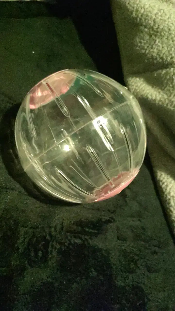 Bola de ejercicio para hámster transparente - 1