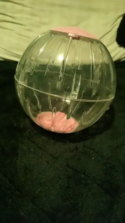 Bola de ejercicio para hámster transparente - miniatura 2