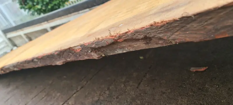 Tabla de madera rústica para proyectos - 2