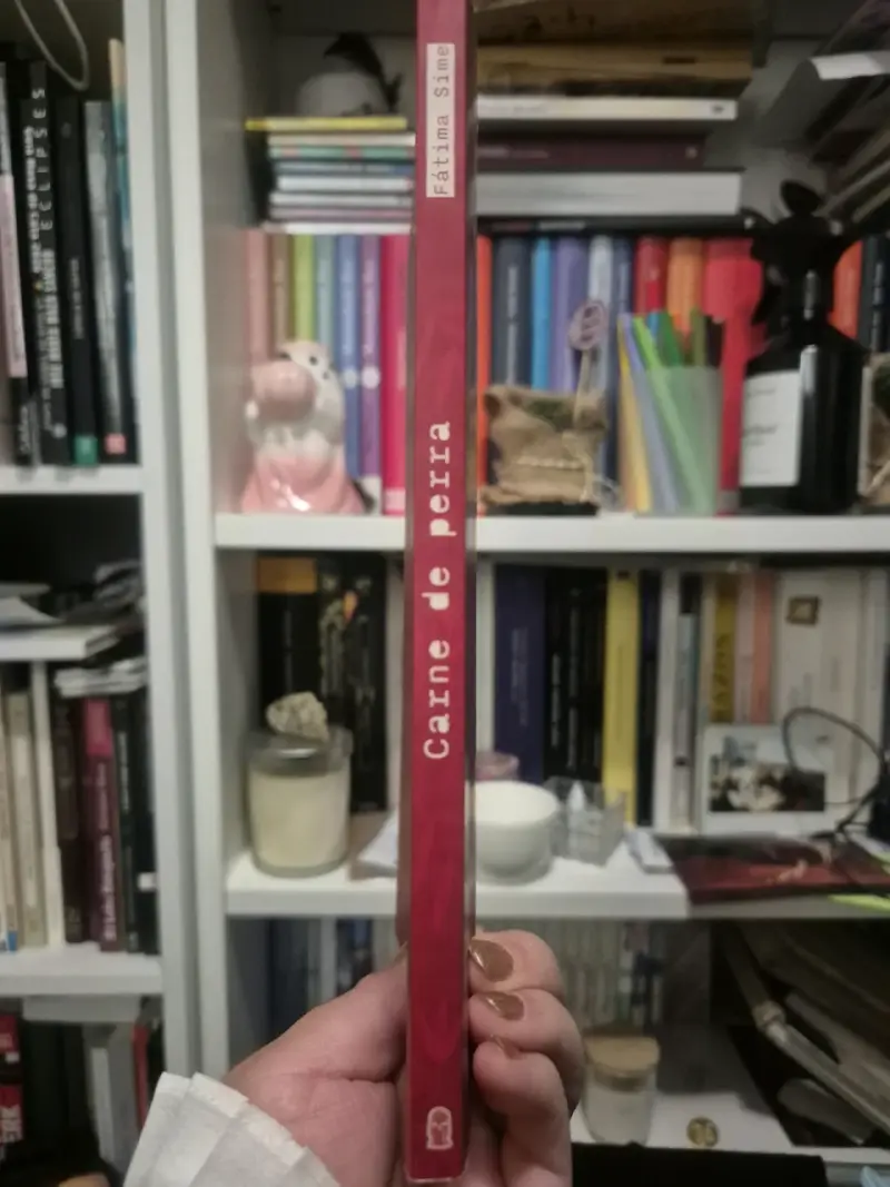 Libro 'Carne de Perra' de Fátima Sime - 3