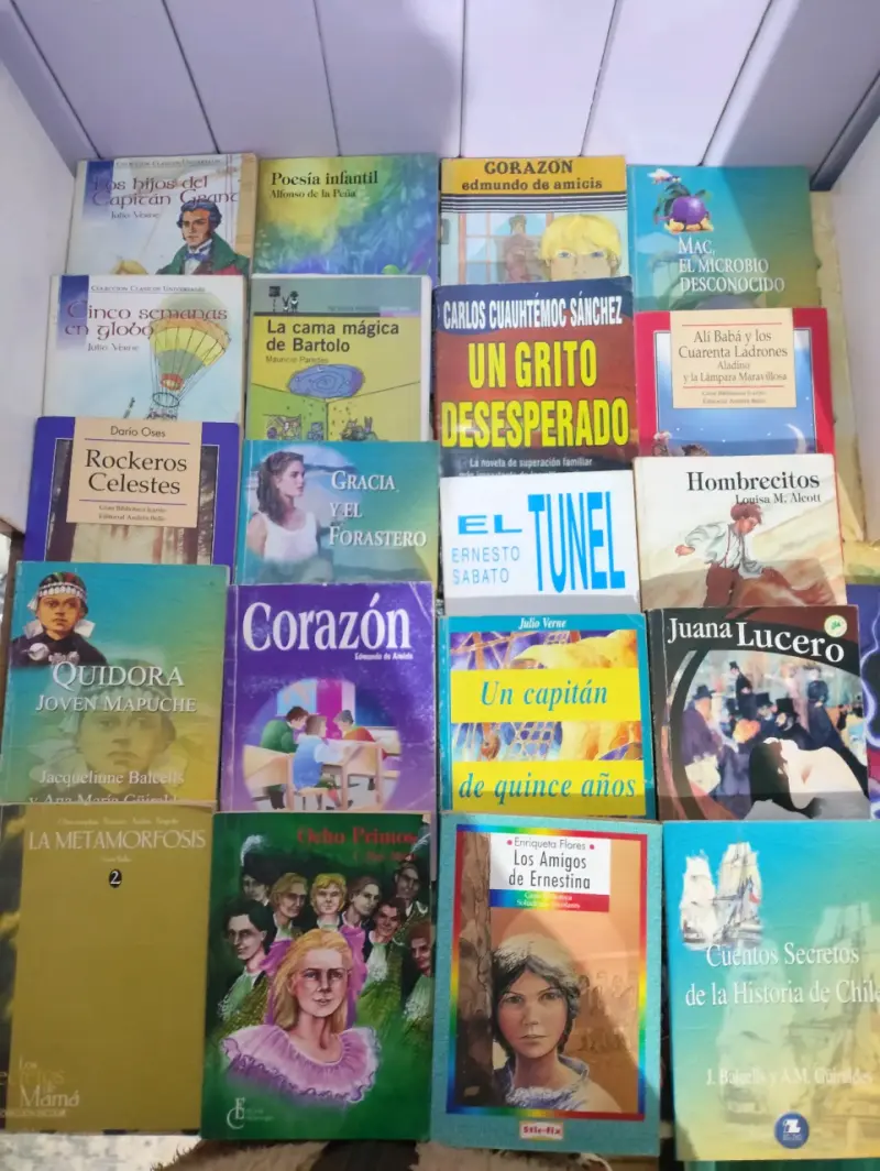 Lote de libros variados para niños y jóvenes