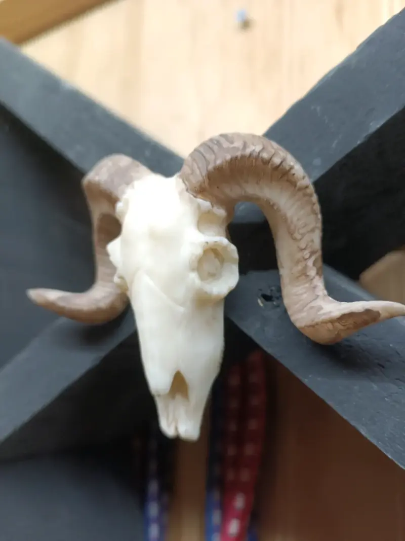 Estante de madera en forma de pentagrama - 3