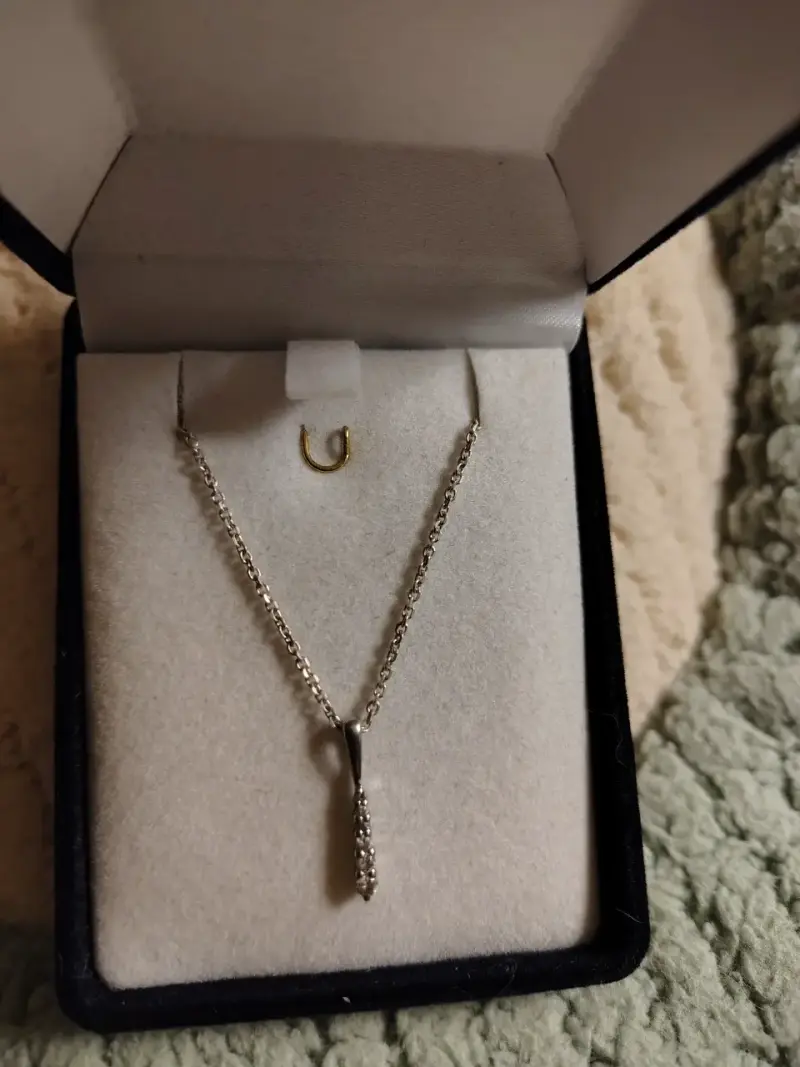 Collar de plata con dije elegante