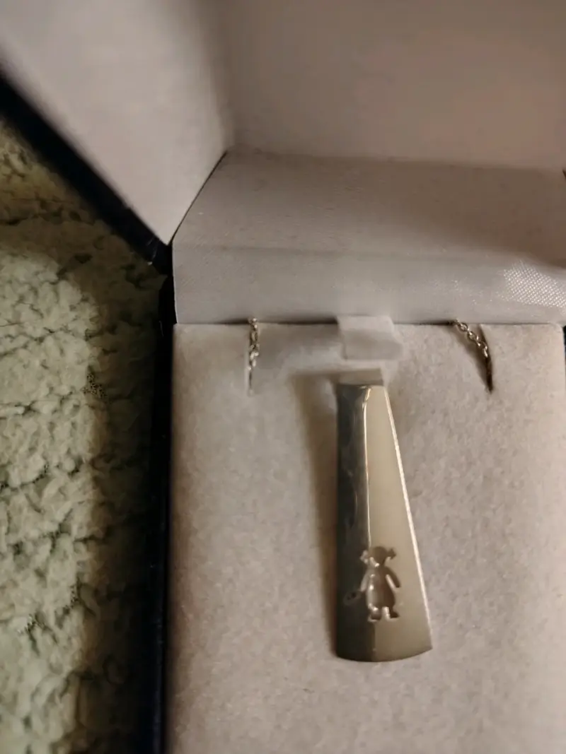 Colgante de plata con diseño de pingüino