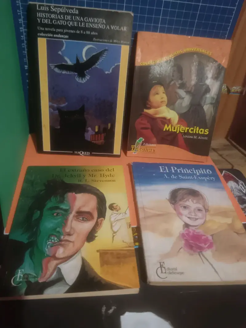 Libros 1500 c/u - 4