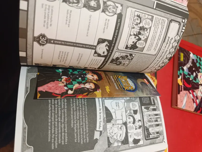 Fanbook y novelas Kimetsu no yaiba (demon slayer) - 4