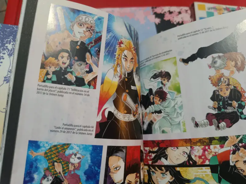 Fanbook y novelas Kimetsu no yaiba (demon slayer) - 5