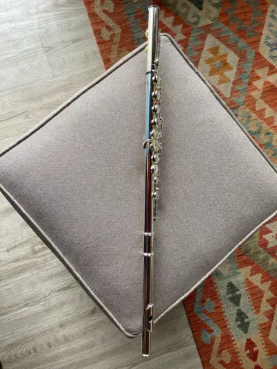 Flauta traversa con estuche rígido - miniatura 1
