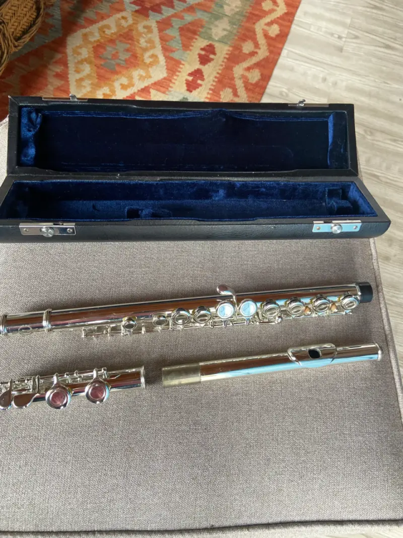 Flauta traversa con estuche rígido - 2