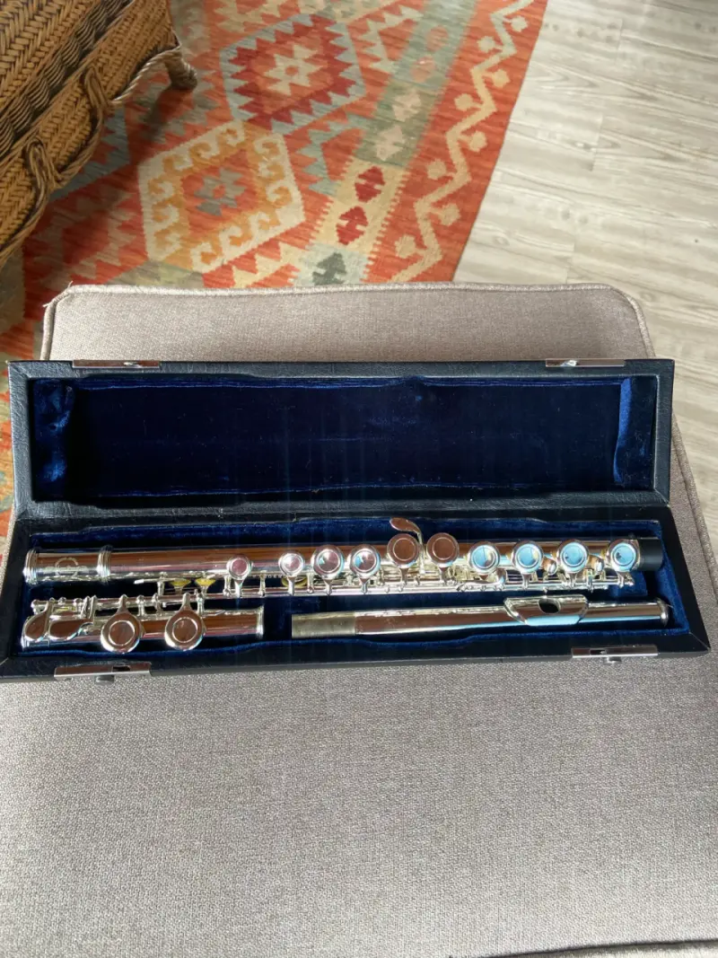 Flauta traversa con estuche rígido - 4
