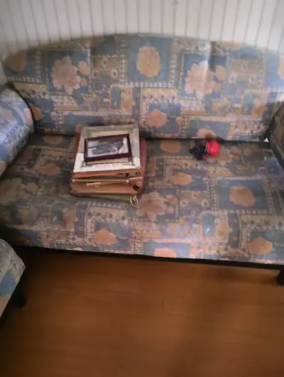 Sofá y sillones estampados vintage - miniatura 1