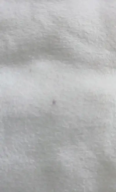 Polera Blanca Básica de Algodón - miniatura 2