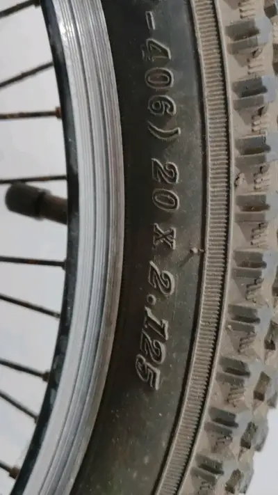 Bicicleta BMX con neumáticos 20x2.125 - miniatura 1