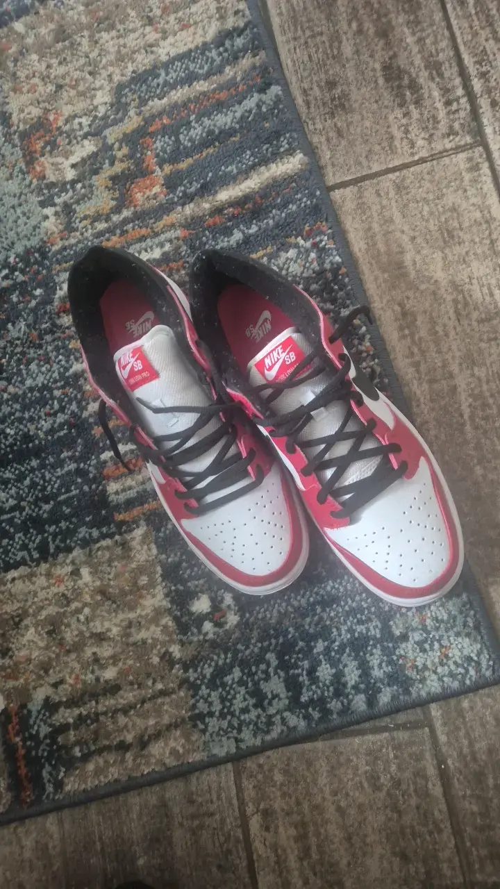 Zapatillas Nike SB Dunk Low rojas y blancas - 1