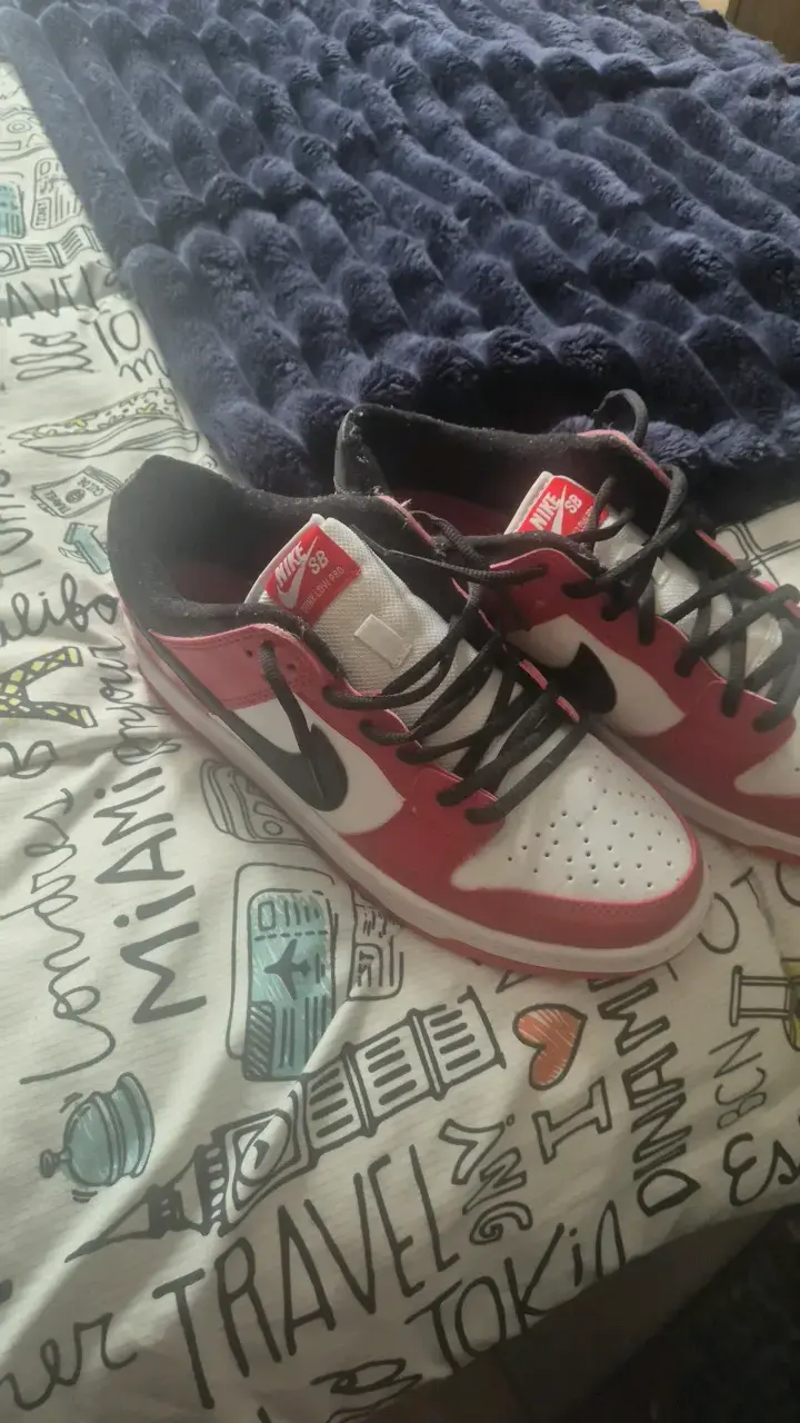 Zapatillas Nike SB Dunk Low rojas y blancas - 2