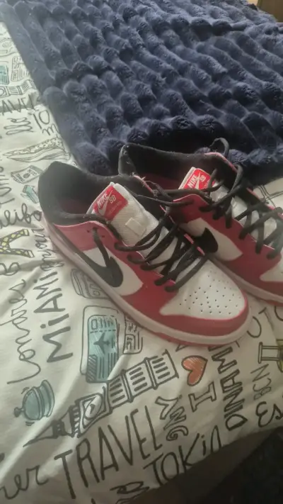 Zapatillas Nike SB Dunk Low rojas y blancas - miniatura 2