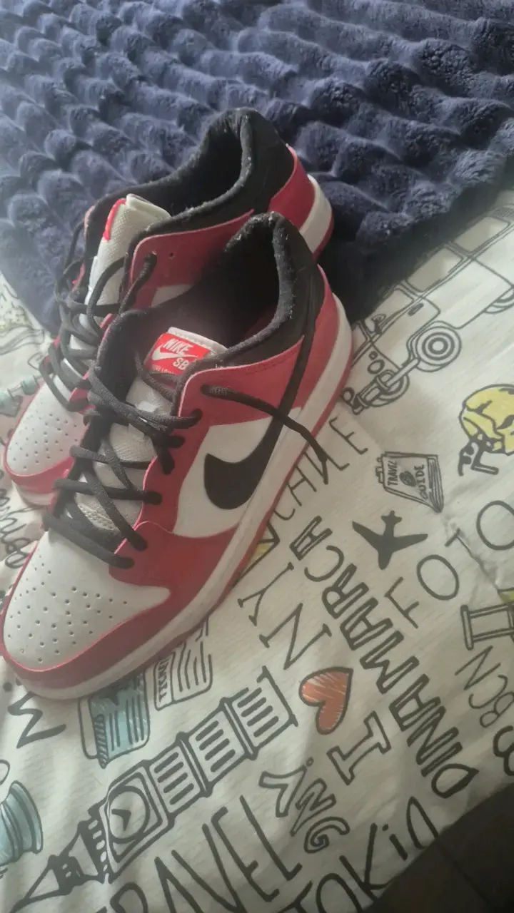 Zapatillas Nike SB Dunk Low rojas y blancas - 3
