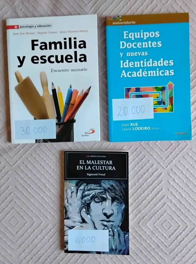 Lote de libros variados de educación y psicología - 4