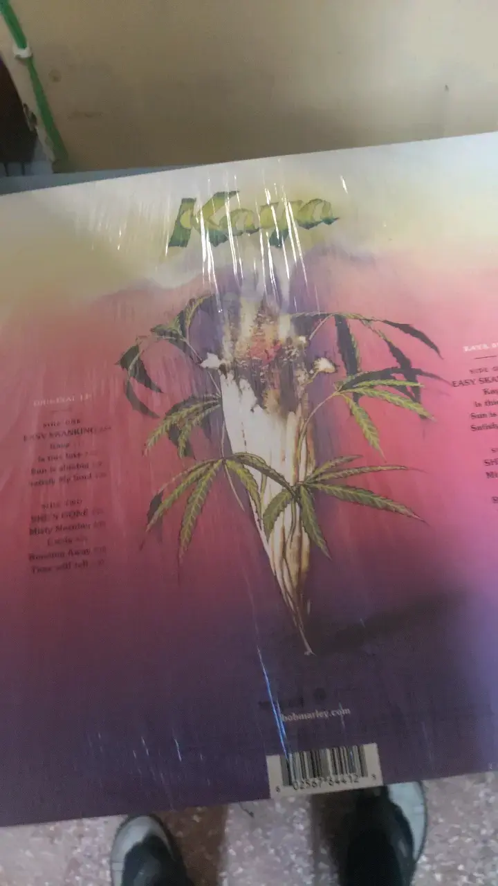 Vinilo Bob Marley & The Wailers 40 Aniversario - 2