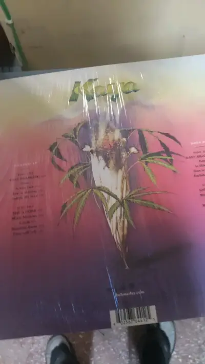 Vinilo Bob Marley & The Wailers 40 Aniversario - miniatura 2