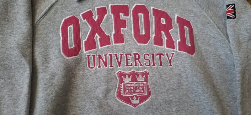 Polerón con capucha Oxford University gris - 2
