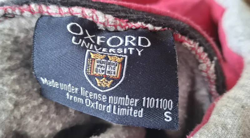Polerón con capucha Oxford University gris - 5
