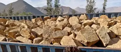 Piedras de Construcción para Paisajismo - miniatura 1