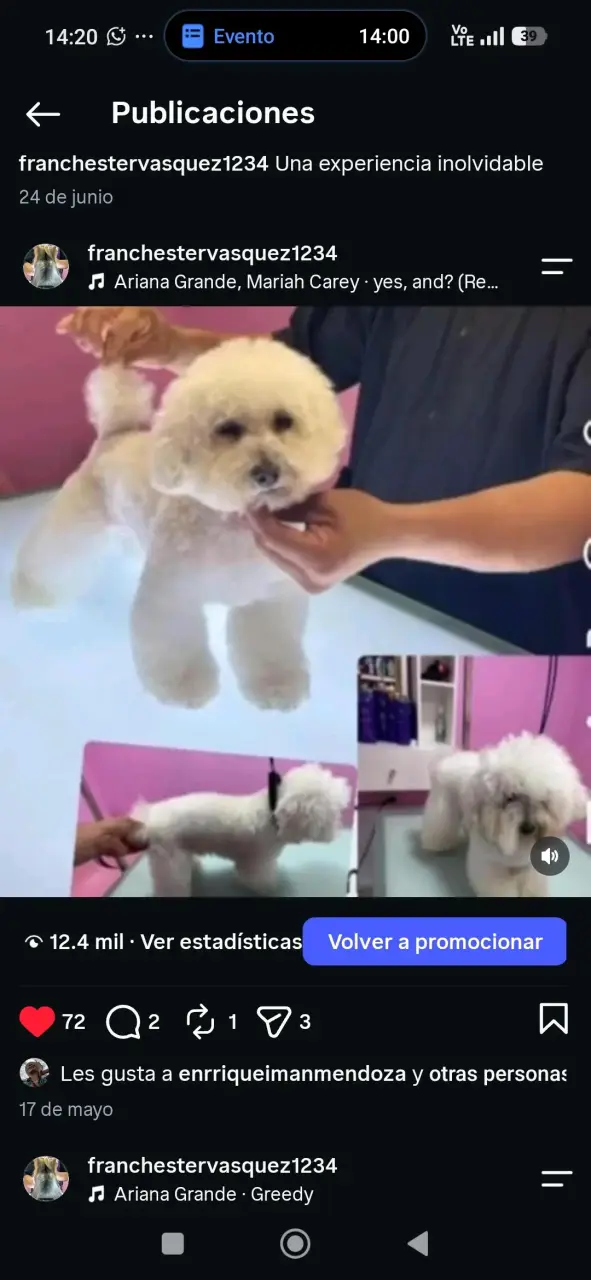 Peluquería canina