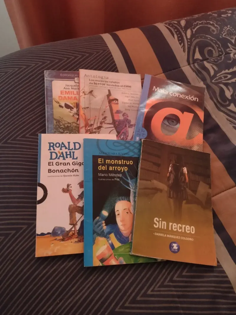 Colección de Libros Infantiles y Juveniles - 2