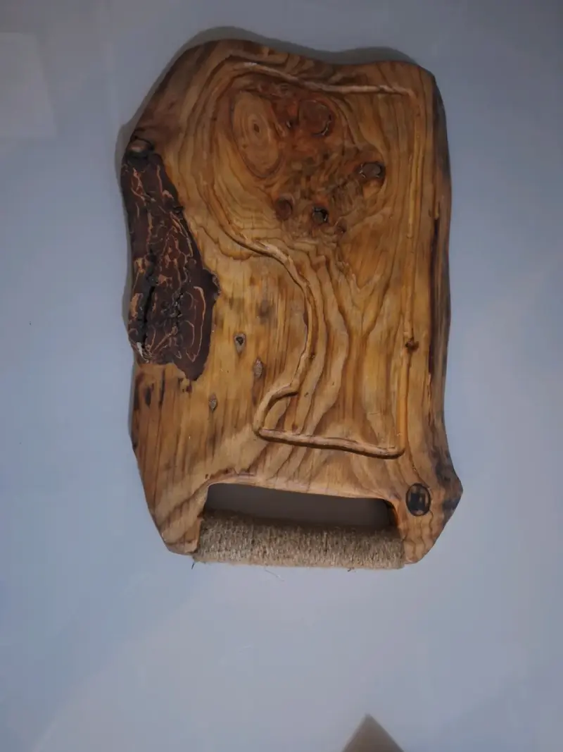 Tabla de cortar de madera rústica - 3