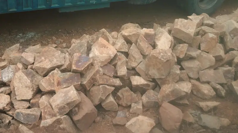 Piedras de Construcción para Paisajismo y Decoración - 4