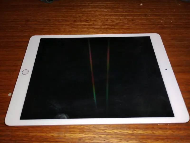 iPad Apple en buen estado - 2