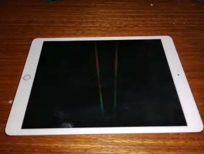 iPad Apple en buen estado - miniatura 2