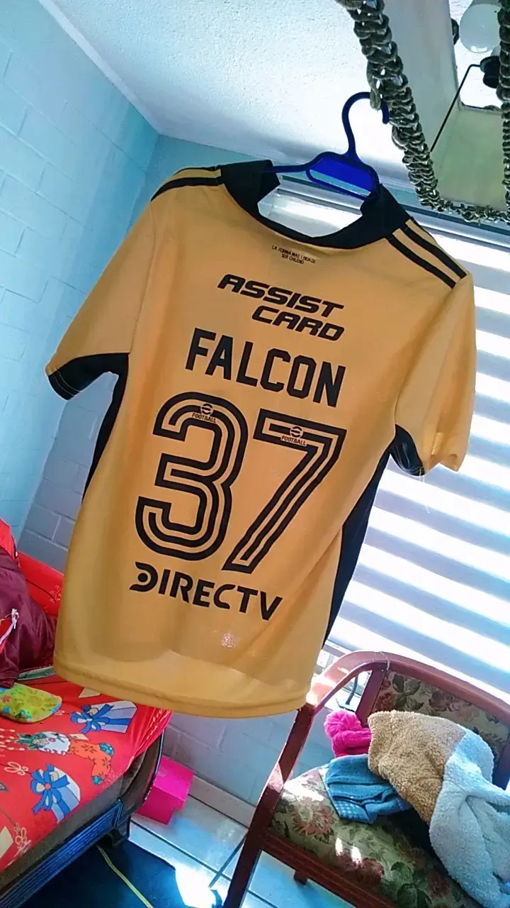 Camiseta Colo-Colo Adidas Falcon 37 - 2