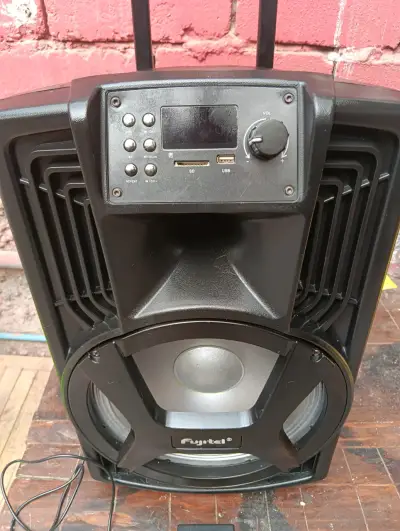 Parlante portátil Fuyitel con USB y SD - miniatura 1