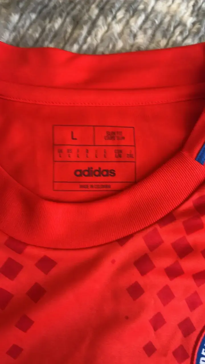 Camiseta de Chile firmada por Claudio bravo - 2