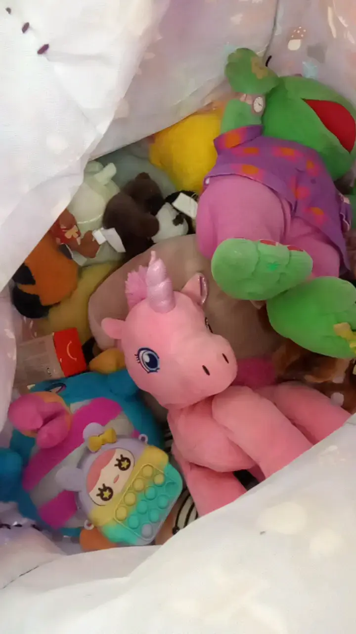 Lote de peluches variados para niños - 2