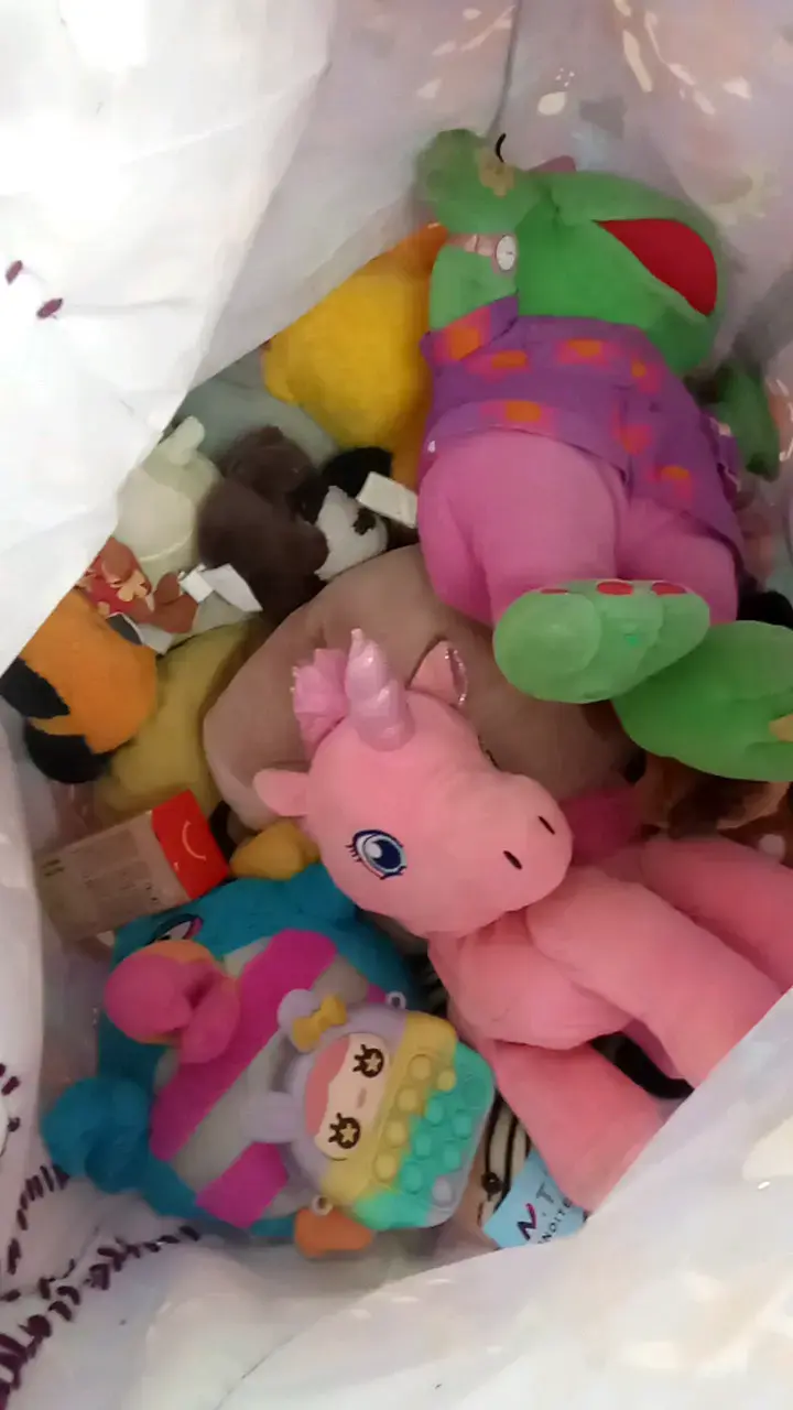 Bolsa llena de juguetes de peluche variados - 2