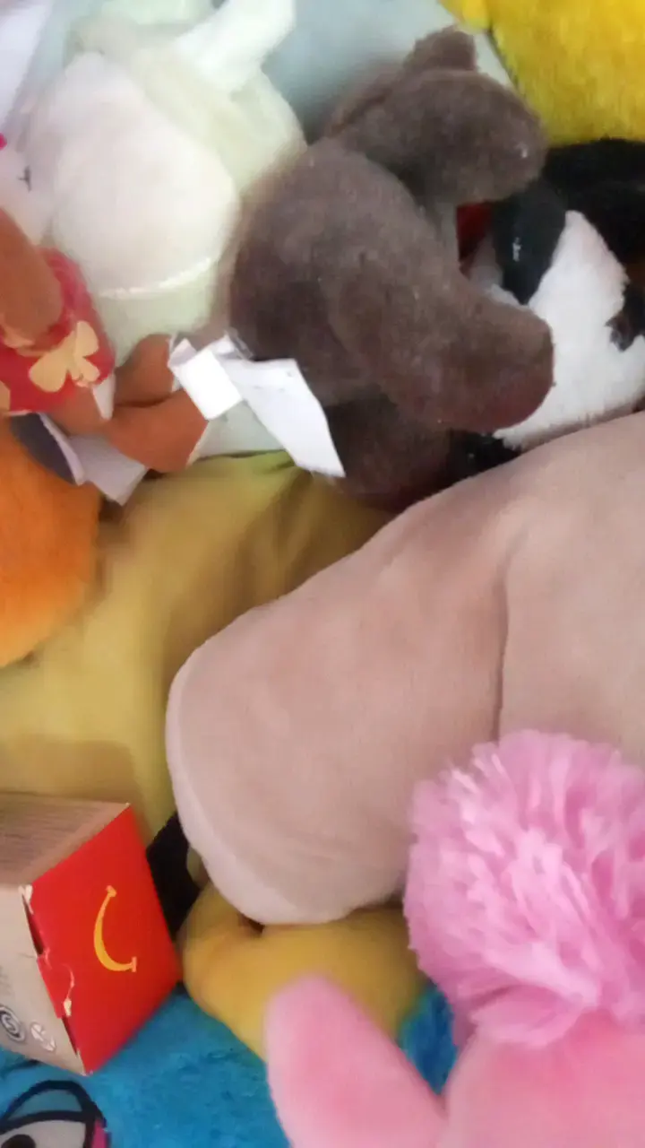 Bolsa llena de juguetes de peluche variados - 3