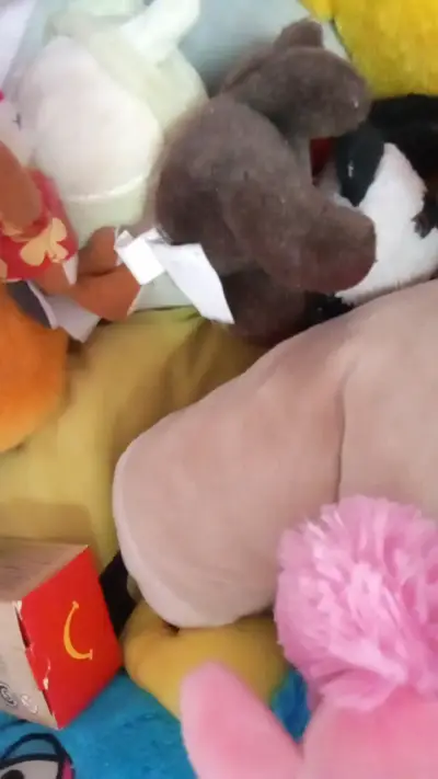 Bolsa llena de juguetes de peluche variados - miniatura 3