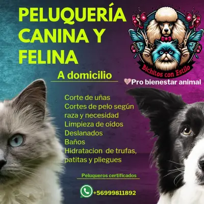 Servicio de peluquería canina y felina a domicilio - miniatura 1