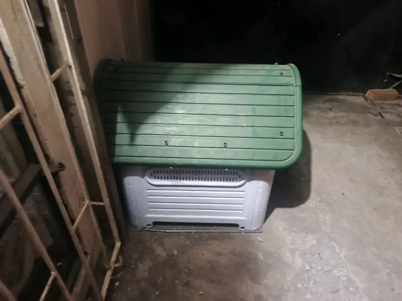 Casa para perro de plástico resistente - 3