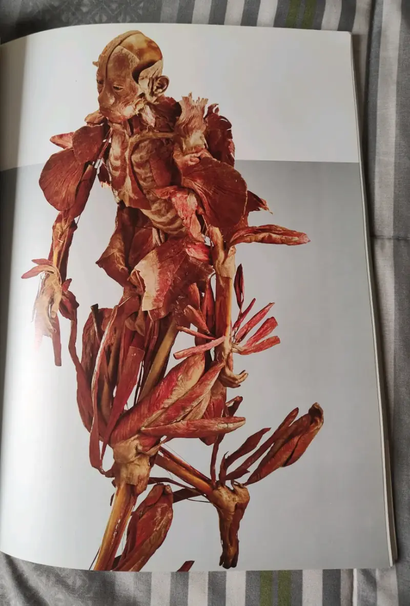 Libro 'Bodies: The Exhibition' - 3