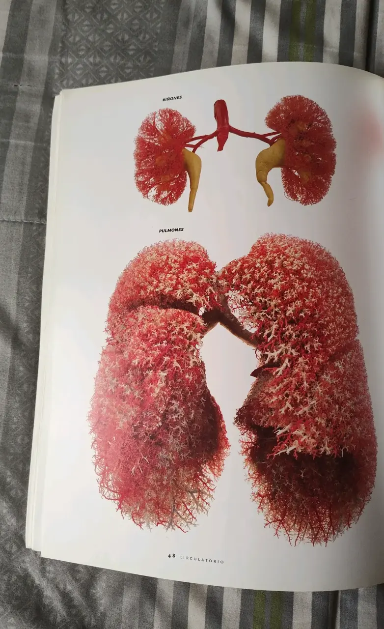 Libro 'Bodies: The Exhibition' - 4