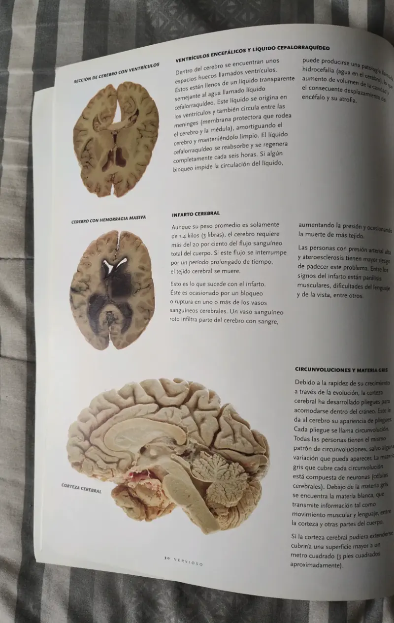Libro 'Bodies: The Exhibition' - 5